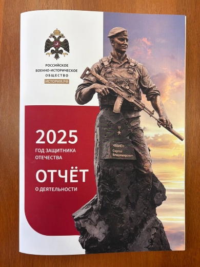 Отчет РВИО за 2025 г.